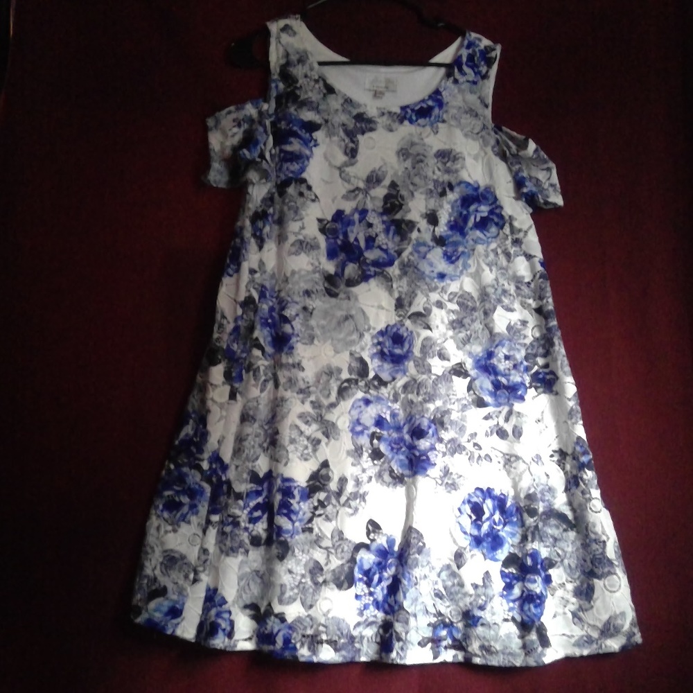 XL Cold Shoulder White and Blue Lace Dress